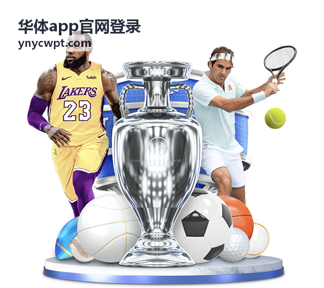 华体app官网登录 回放加载与播放排查示意