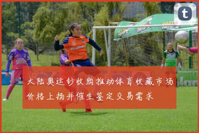 大陆奥运钞收购推动体育收藏市场价格上扬并催生鉴定交易需求