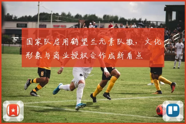 国家队启用鹤望兰元素队徽，文化形象与商业授权合作成新看点