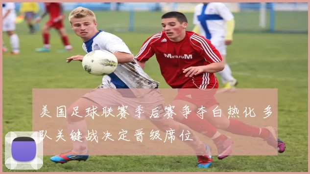 美国足球联赛季后赛争夺白热化 多队关键战决定晋级席位