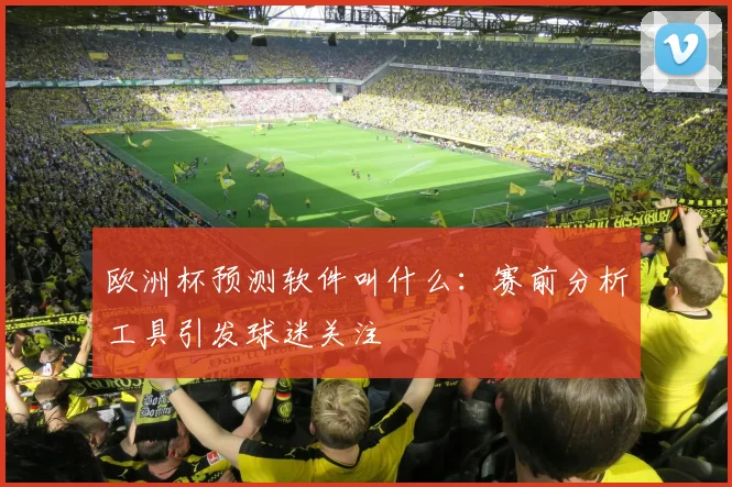 欧洲杯预测软件叫什么：赛前分析工具引发球迷关注