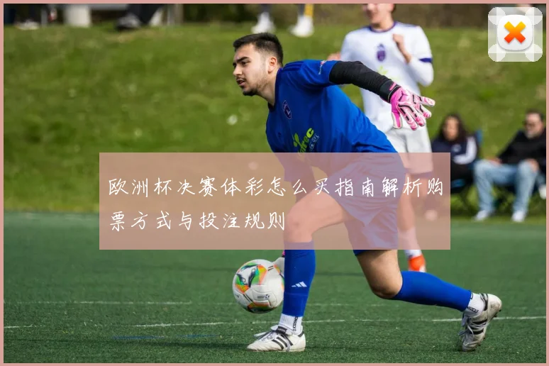欧洲杯决赛体彩怎么买指南解析购票方式与投注规则