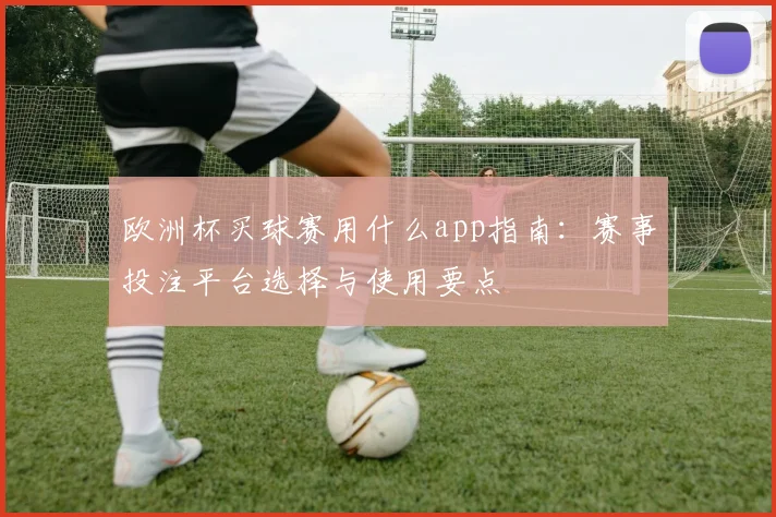 欧洲杯买球赛用什么app指南：赛事投注平台选择与使用要点